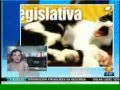 El Candigato Morris en Primero Noticias
