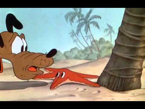 Mickey Mouse - Vacances à Hawaï (1937) - YouTube