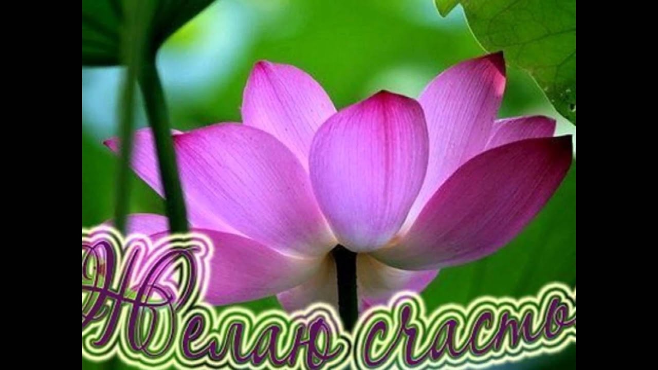Оригинальная открытка из бумаги к 9 мая своими руками - с 46 Оригинальная открытка из бумаги к 9 мая своими руками - с 91