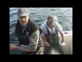 TV Episode - Halibut Fishing in Alaska with Deibler Outdoors
