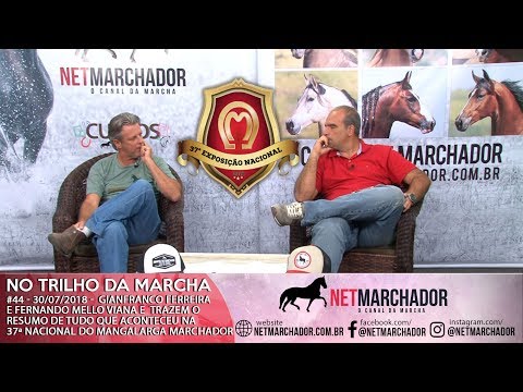 #44 - NO TRILHO DA MARCHA - 30/07/2018 - Resumo completo da 37ª Nacional do Mangalarga Marchador