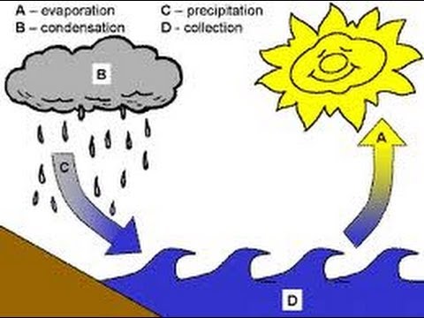 Water Cycle - Animation lesson for Kids -www.makemegenius.com - YouTube