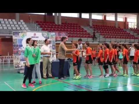 FEDERACION ESPANOLA DE BALONMANO FEMENINO federacion espanola de balonmano femenino: