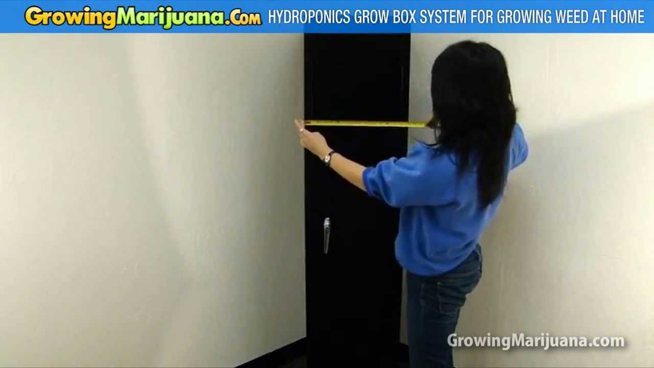 Hydroponics Grow Box System For Growing Weed At Home - YouTube