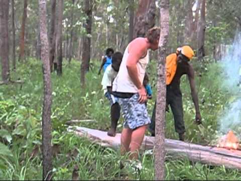 Aurukun Gathering Honey