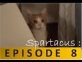 Spartacus: ma vie de chat - Episode 8 :
