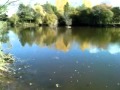 2012 Vidéo sur Etang