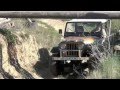 JEEP CJ7 V8 GOLDEN EAGLE