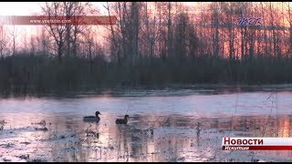 С 16 по 25 апреля в Новосибирской области пройдет весенний сезон охоты