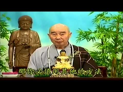 Kinh Vô Lượng Thọ (Giảng Lần Thứ 10, 1998) (Tập 179 Và 180)
