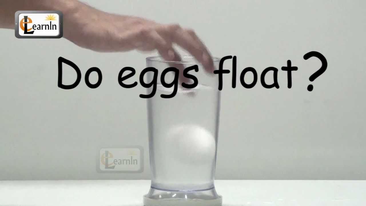 Eggs floating in salt water - Science Experiment for School Kids - YouTube