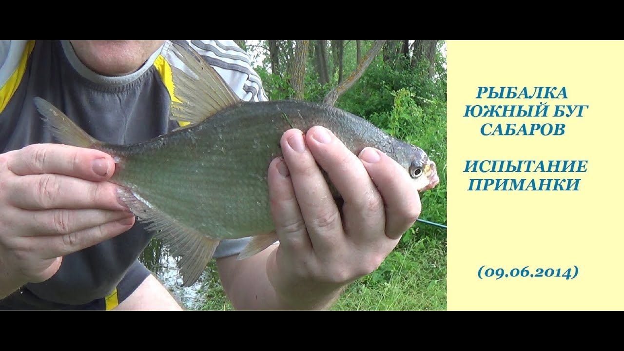 Приманка на леща своими руками