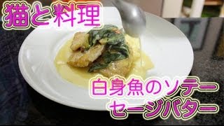 【猫と料理】アメリカNo.1フライパンで作る白身魚のソテー 2/2　Cooking with Cat - Sauteed Lemon Sole with Sage Butter 2 of 2