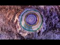 Iron and Wine - Joy (Official Video)