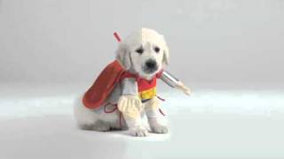 Assistance Dogs "Major Concerns" TVC - AdNews