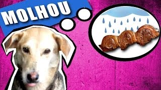 CHURRASCO NA CHUVA!- Ep. 82.