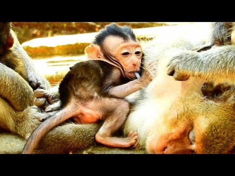 FUNNY & SURPRISE || BABY DELEN SHOW FUNNY ACTION || SHE LOOK LIKE (DRANK MILK) AND BABY LOVE MOM