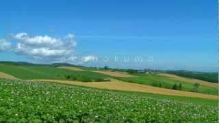 Blue Sky〜Beautiful Scenery