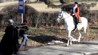 Książę na białym koniu (Prince on a white horse)