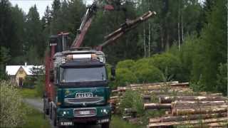 SISU, E18 cat 630 Timber truck