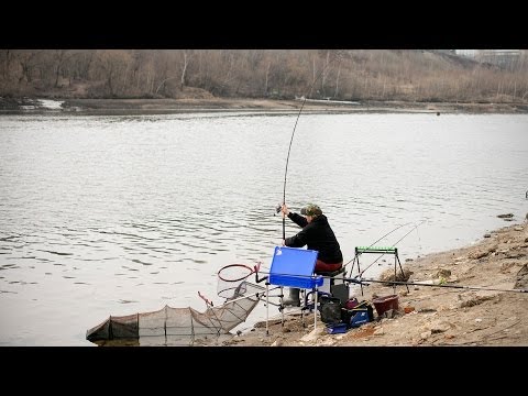 Универсальная прикормка для фидера своими руками Универсальная прикормка для фидера своими руками