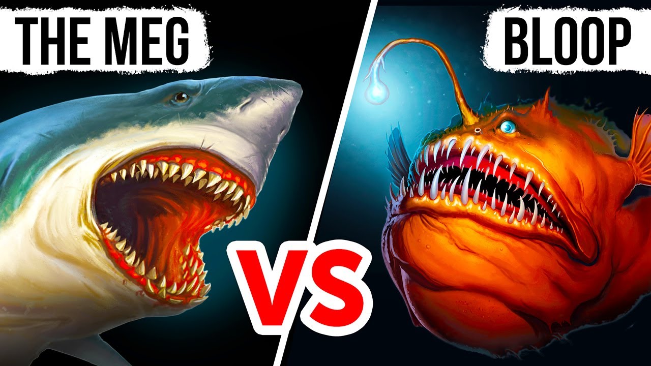 Megalodon VS Bloop - (Who Would Win? 