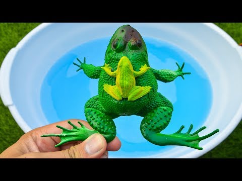Animals for Kids🐙🦅🦎 - Learn Sea Animal, Farm Animal and Wild Animal Names