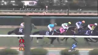 H25 第65回 阪神ジュベナイルフィリーズ (GI) / レッドリヴェール 戸崎 圭太 【競馬】