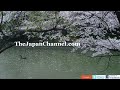 TheJapanChannel on Google+