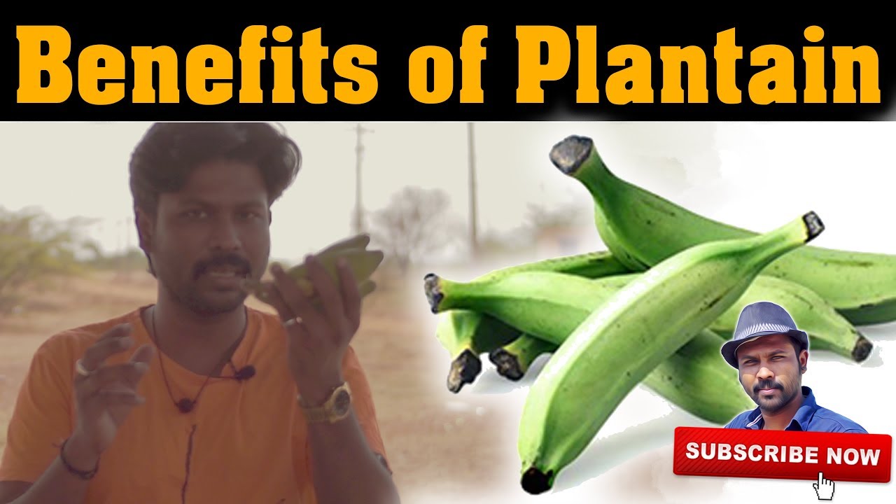 வாழைக்காய் பயன்கள் | Benefits of Plantain | Esh Health Tips