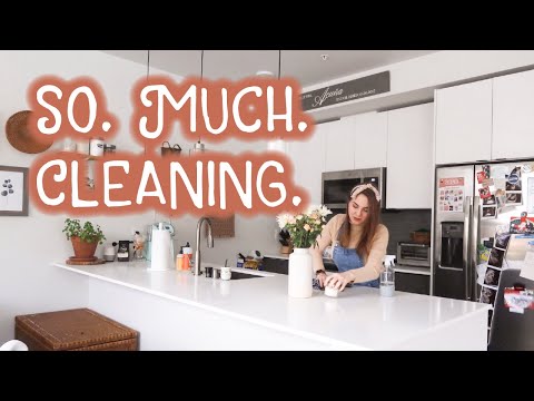 Decorating my Apartment, Organizing my Fridge, Plants! | GETTING MY LIFE TOGETHER