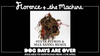 Florence And The Machine - Dog Days Are Over (Steve Pitron And Max.