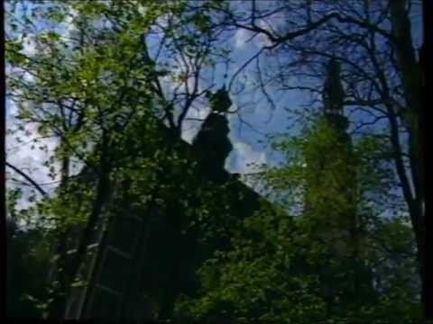 Artur Żalski - Piotr Łosowski Czarodziej Władca Uśmiechu Artur Żalski - Piotr Łosowski Czarodziej Władca Uśmiechu