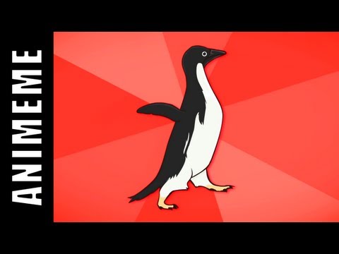 Socially Awkward Penguin Socially Awesome Penguin Generator
