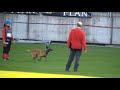 MS FCI 2012 - Forta Marko Gero - B 88 b.wmv