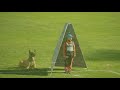 MS FCI 2012 - Forta Marko Gero - B 88 b.wmv
