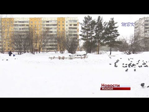 Новую жизнь -старому скверу Искитима. Реконструкция начнется летом 2019 года