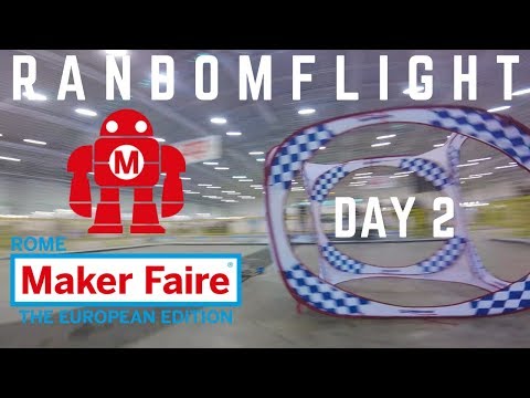idiotic moments - day 2 #MFR19 - ShockWave fpv