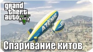 Спаривание китов в GTA 5