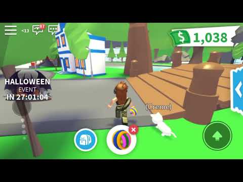 Adopt me,Snow Cat funny moments
