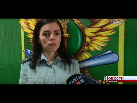 «20 суток ареста»: Искитимский мировой суд вынес приговор за неоплаченные штрафы ГИБДД «20 суток ареста»: Искитимский мировой суд вынес приговор за неоплаченные штрафы ГИБДД