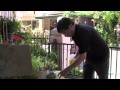 RFA TV May 4, 2012