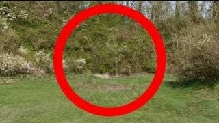 actual werewolf sightings