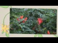 A special day! - Mother's Day ecards - Events Greeting Cards