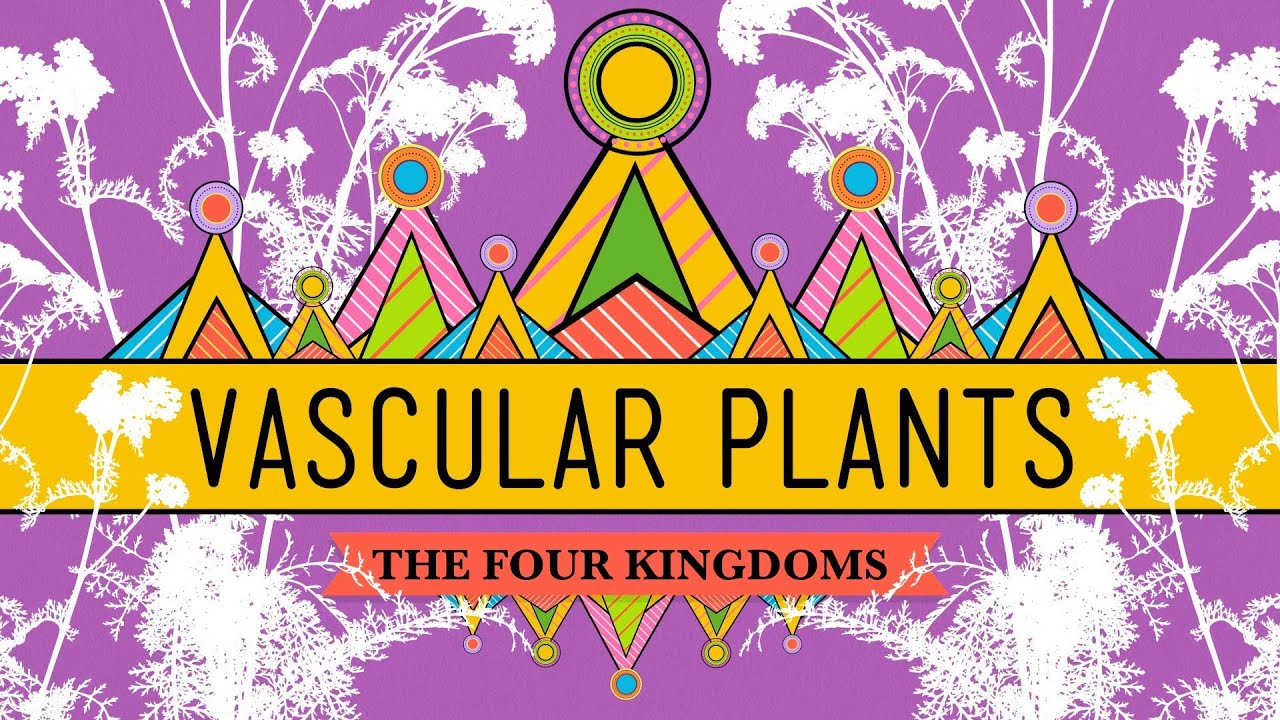 Vascular Plants = Winning! Crash Course Biology 37