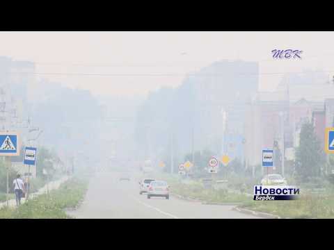 Бердчане встревожены нависшим над городом смогом