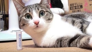 猫の首バランス - Ohagi and Rechargeable Battery -