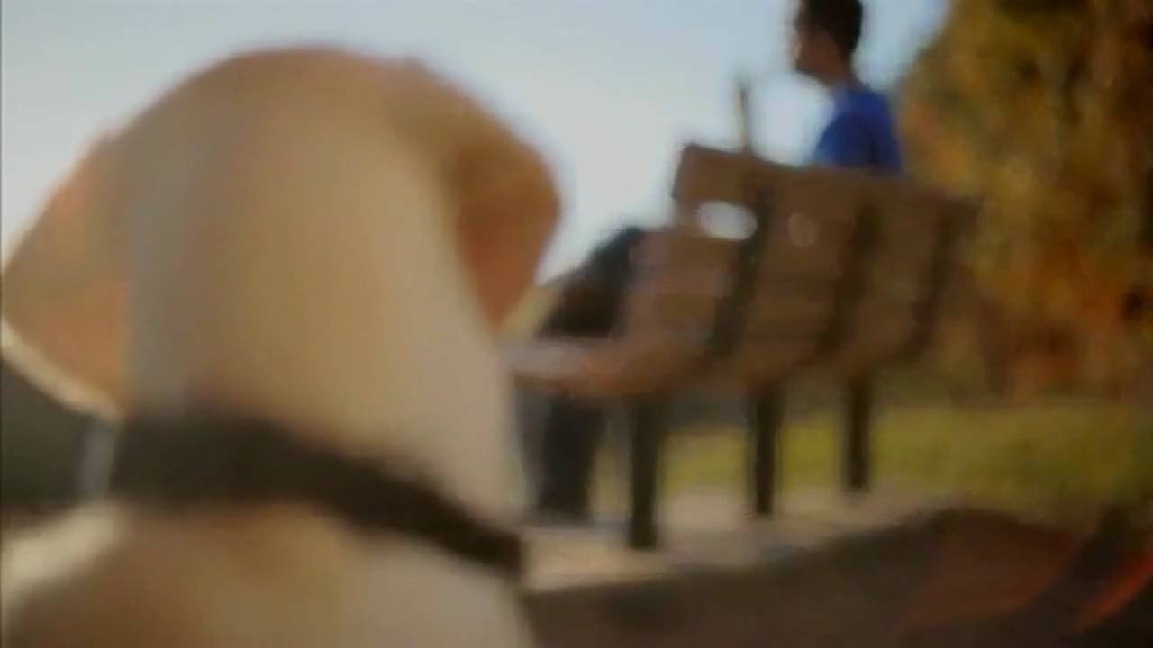 HD] Exclusive Dog Shock Collar Doritos Commercial Super Bowl 44 2010 ...