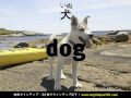 英単語マスター ビデオ de モット英会話 Lesson 19 【家畜】 Farm Animals