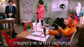 קופיקו עונה 4 פרק 2 - הארכיטקט